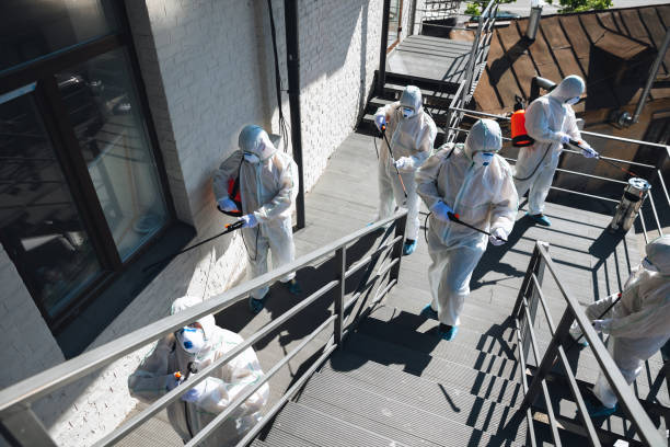 Best Residential Mold Inspection & Testing  in Peridot, AZ