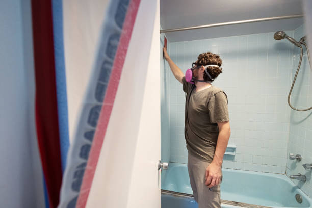 Best Mold Remediation for Healthcare Facilities  in Peridot, AZ