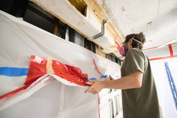 Best Forensic Mold Investigation  in Peridot, AZ