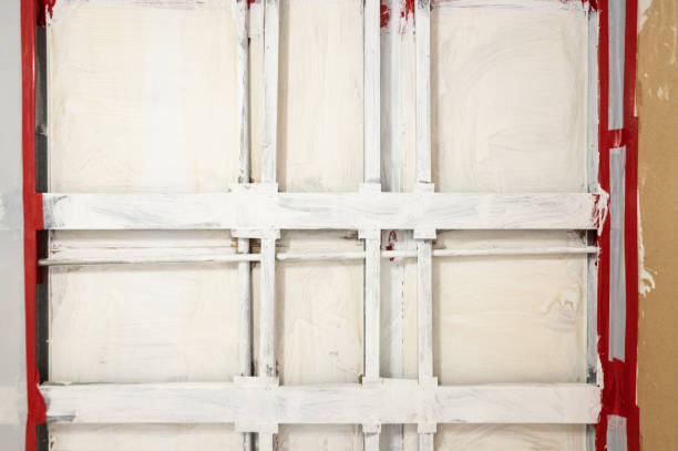 Best Basement Mold Removal  in Peridot, AZ