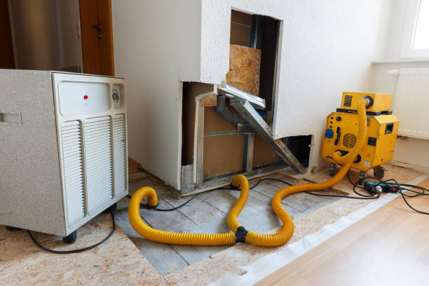 Best Water Damage & Mold Remediation  in Peridot, AZ