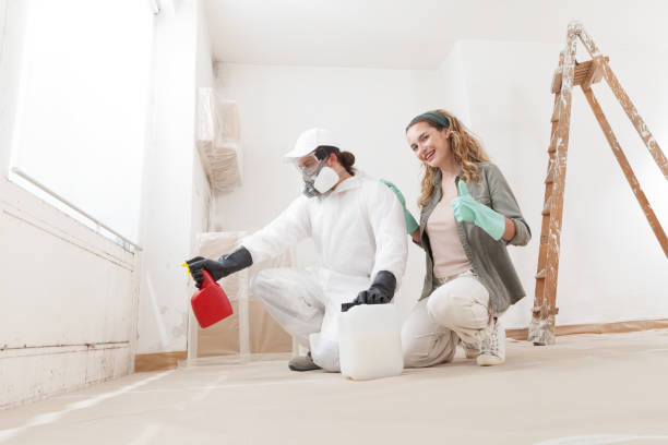 Best Crawl Space Mold Remediation  in Peridot, AZ